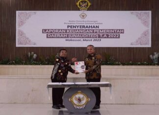 Pemerintah kabupaten luwu