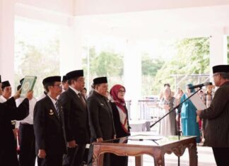 Pemerintah kabupaten luwu