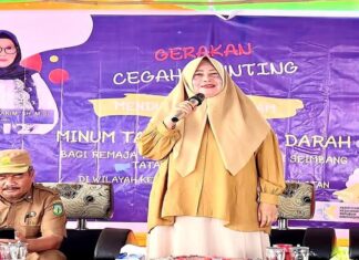 Ketua tim penggerak pkk kabupaten luwu