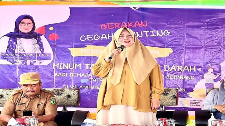 Ketua tim penggerak pkk kabupaten luwu