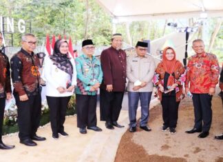 Bupati luwu hadiri kunjungan kerja Presiden Jokowi