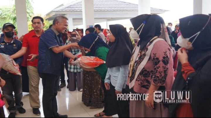 Pemerintah Kabupaten Luwu