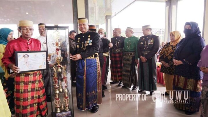 Pemerintah Kabupaten Luwu