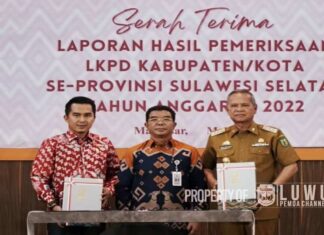 Pemerintah Kabupaten Luwu