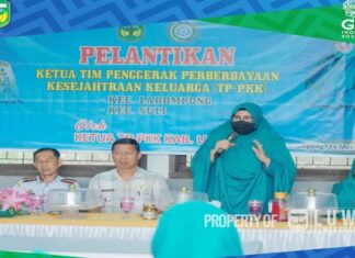 Ketua Tim Penggerak Pemberdayaan Kesejahteraan Keluarga Kabupaten Luwu