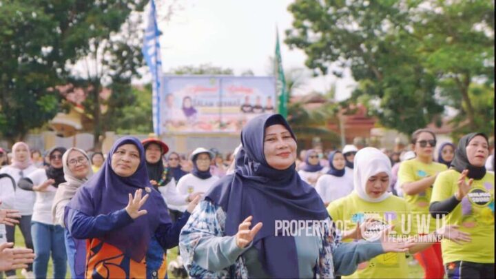 Ketua TP PKK Kabupaten Luwu