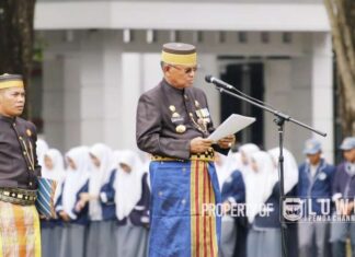 Pemerintah Kabupaten Luwu