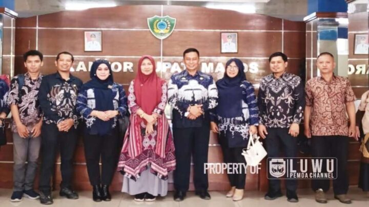 Pemerintah Kabupaten Luwu
