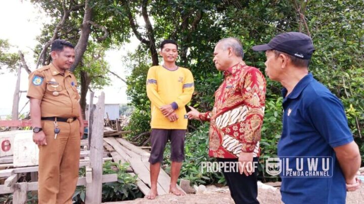Bupati Luwu
