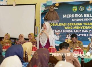 Pemerintah Kabupaten Luwu