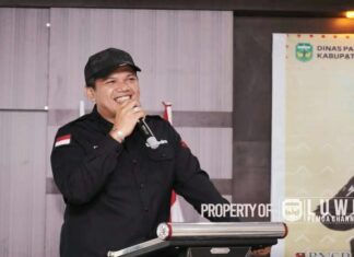 Pemerintah Kabupaten Luwu