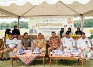 Pemerintah Kabupaten Luwu