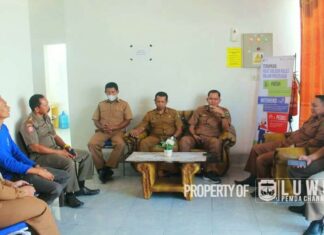 Pemerintah Kabupaten Luwu