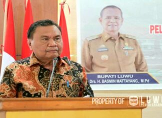 Pemerintah Kabupaten Luwu