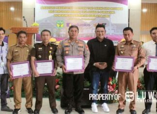 Pemerintah Kabupaten Luwu