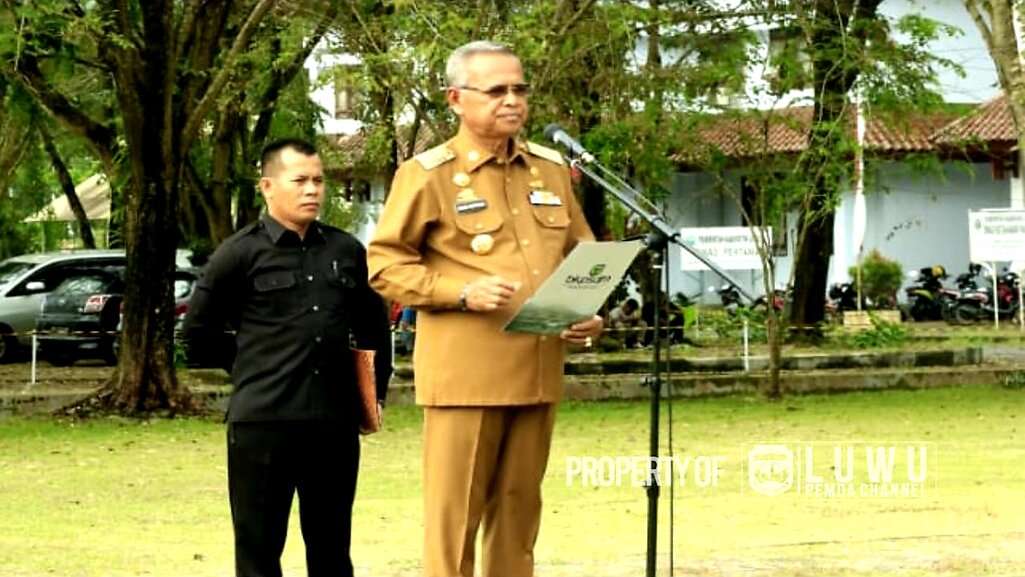 Honorer Eks K2 Ucapkan Terima Kasih Kepada Bupati Luwu Setelah Terima SK PPPK