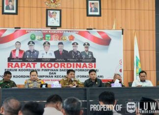 Penjabat Bupati Luwu