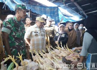 Penjabat Bupati Luwu