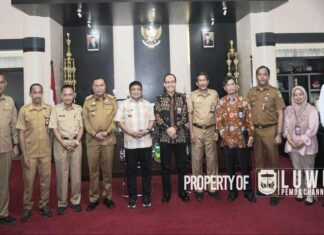 Penjabat Bupati Luwu