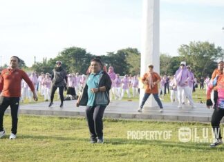 Pemerintah Kabupaten Luwu