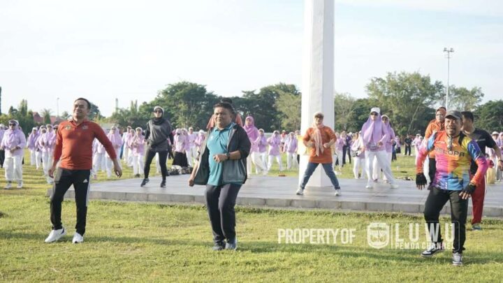 Pemerintah Kabupaten Luwu
