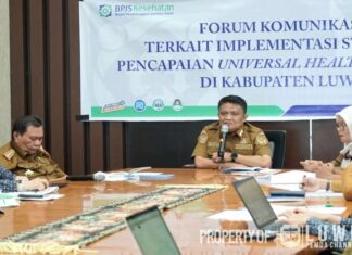 Penjabat Bupati Luwu