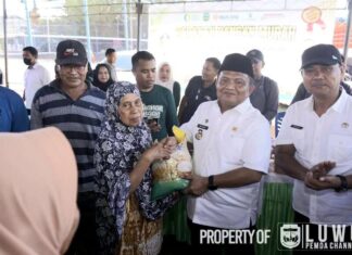 Pemerintah Kabupaten Luwu