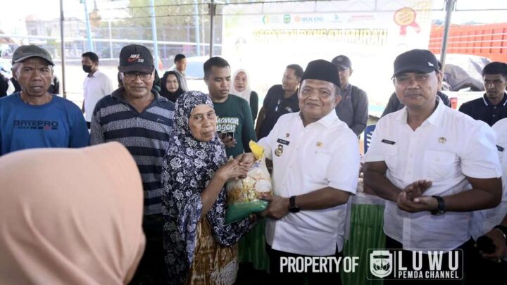 Pemerintah Kabupaten Luwu