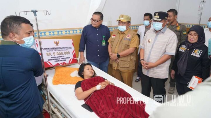 Kabupaten Luwu