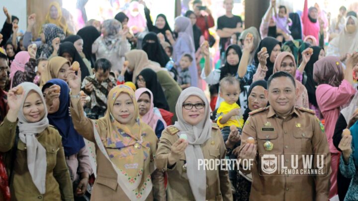 Pemerintah Kabupaten Luwu