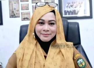 Pemerintah Kabupaten Luwu