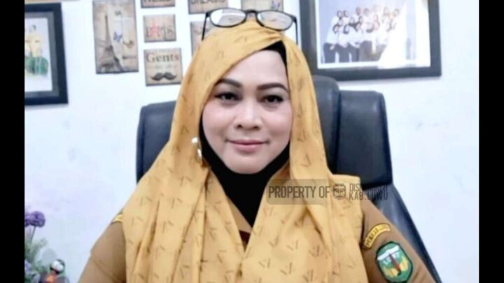 Pemerintah Kabupaten Luwu