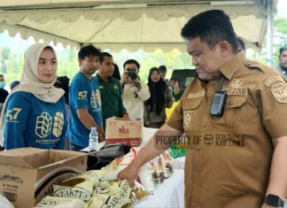 Pemerintah Kabupaten Luwu