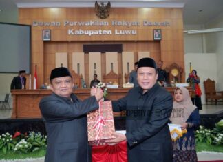 Pemerintah Kabupaten Luwu