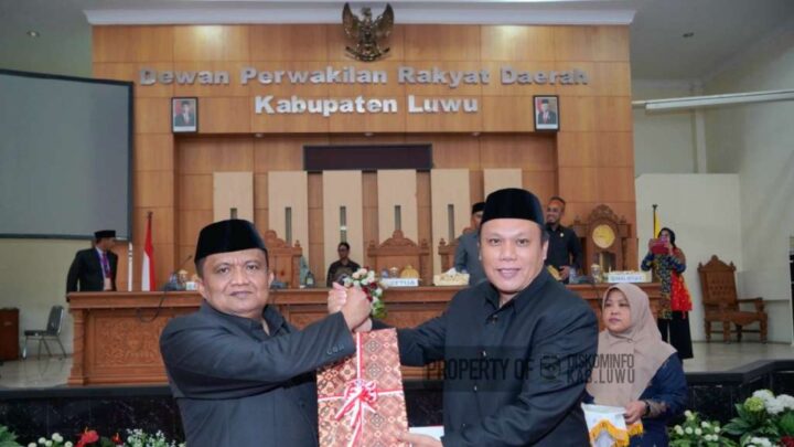 Pemerintah Kabupaten Luwu