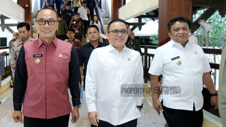 Pj Bupati Luwu hadiri kunker menpan rb