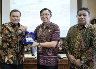 Pemerintah Kabupaten Luwu